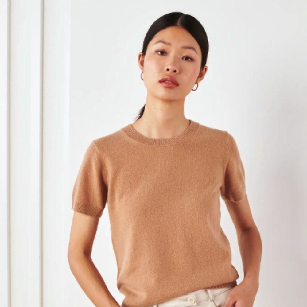 Quince Camel Mongolian Cashmere Tee in Medium
